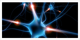 Cell Signaling 9381CA